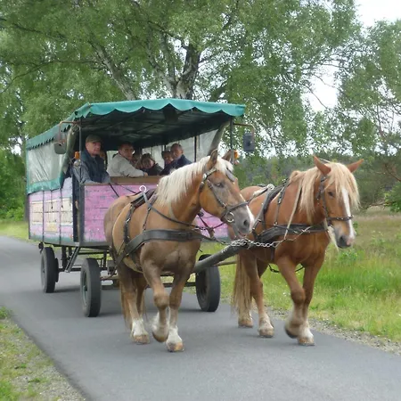 Heidehotel Herrenbruecke 3* Faßberg